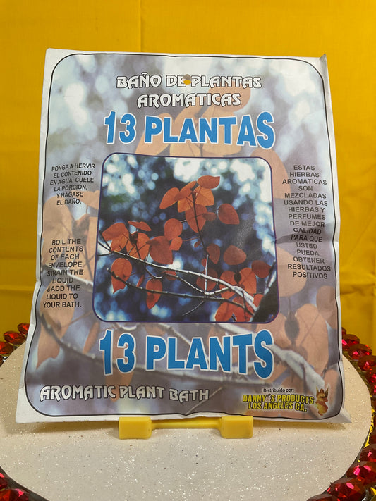 13 Plants